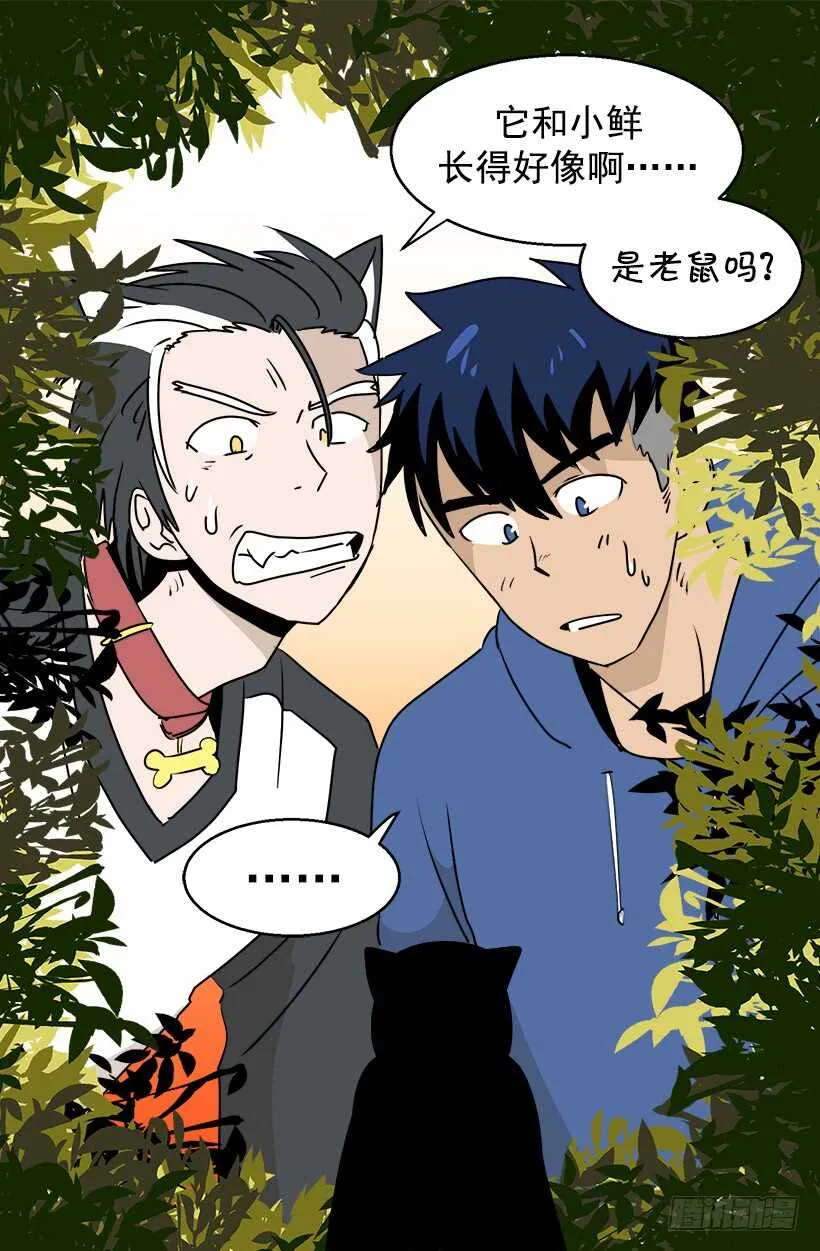 恐怖的画面 第19页