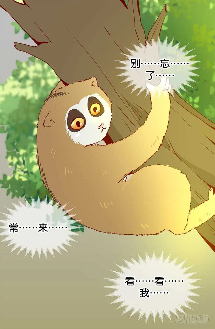 我有信心 第13页