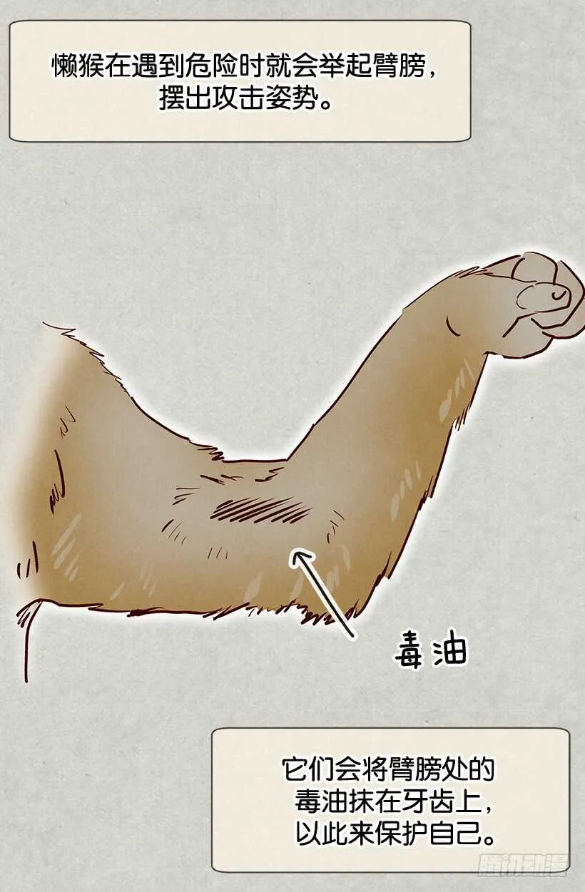 我有信心 第18页
