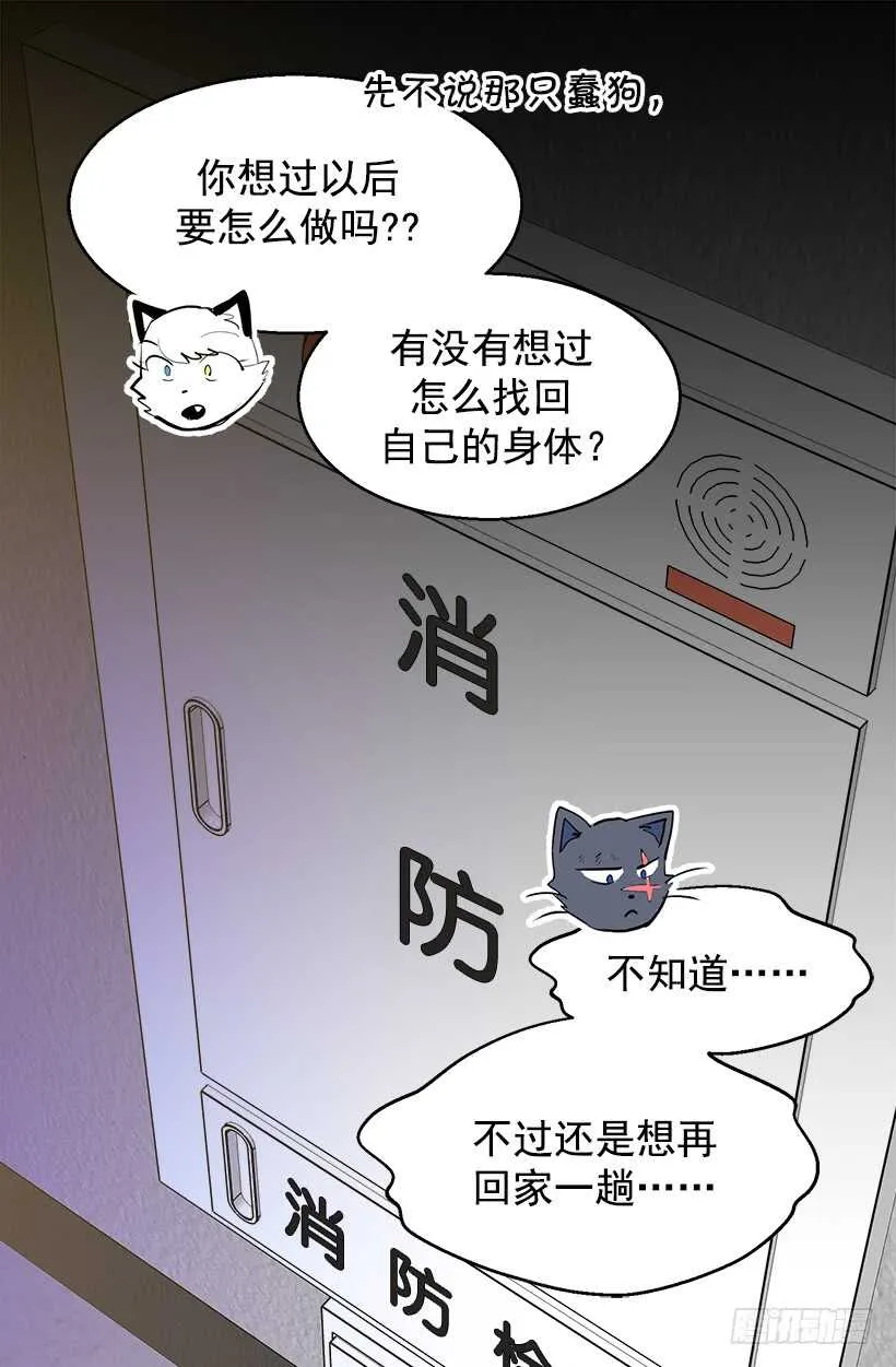 温柔的爸爸 第11页