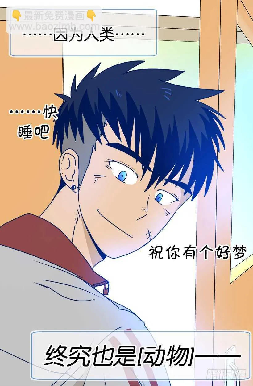 见习女骑士 第25页
