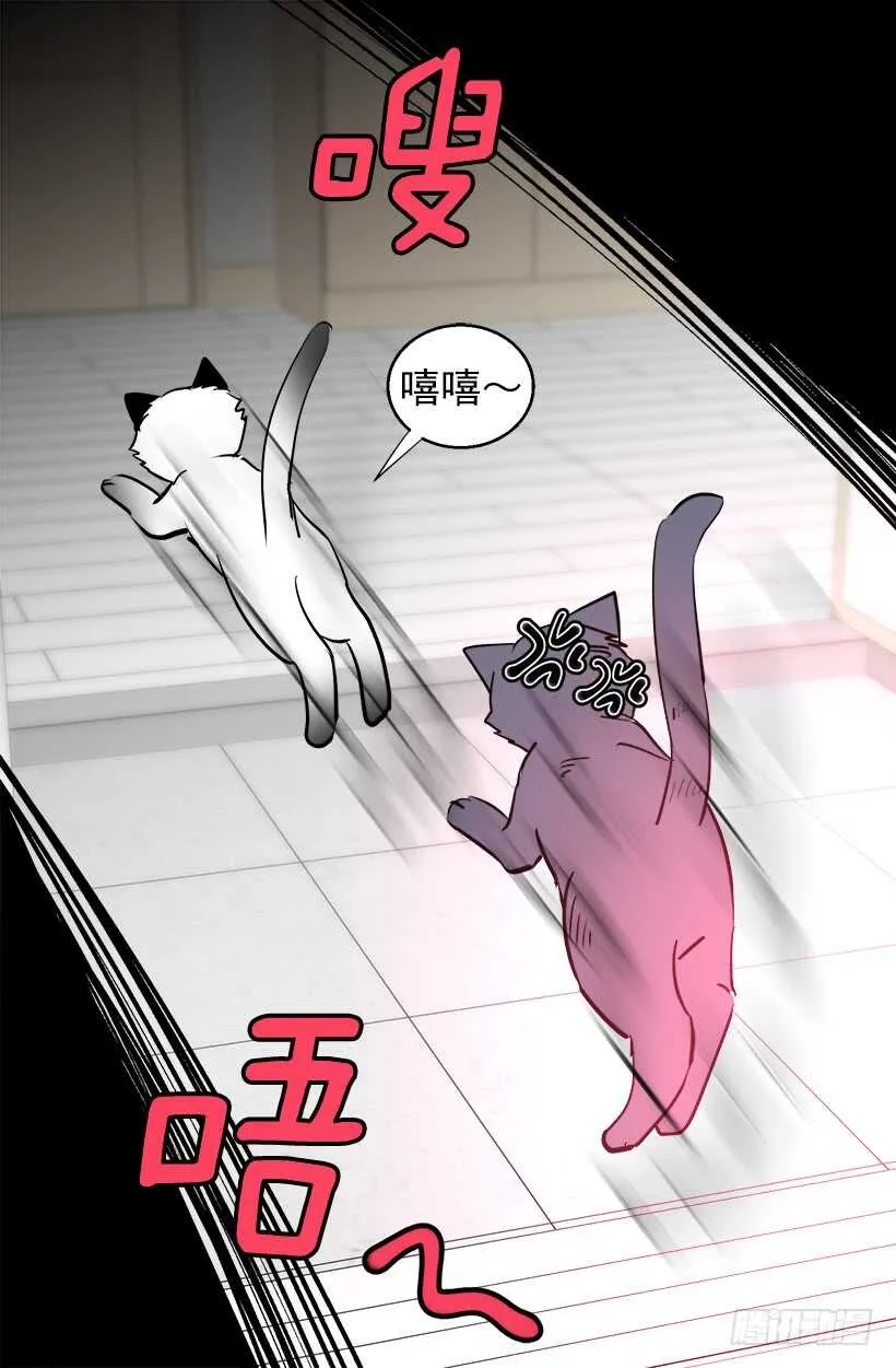 太子回归 第11页