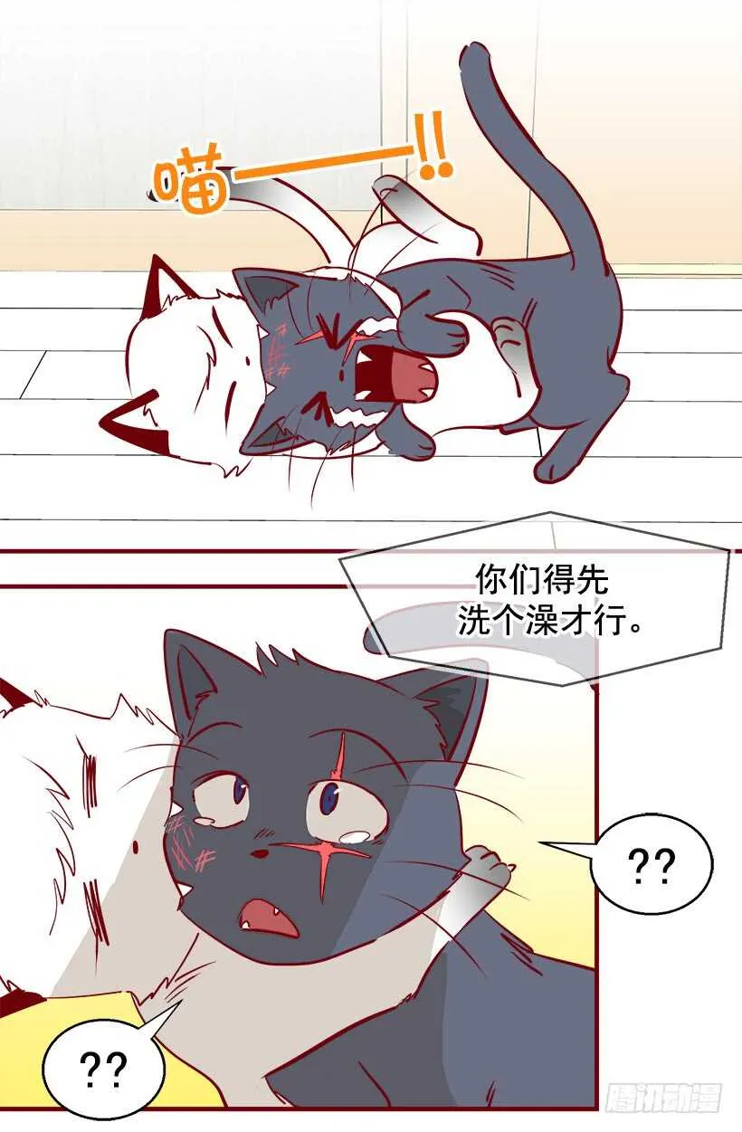 太子回归 第13页