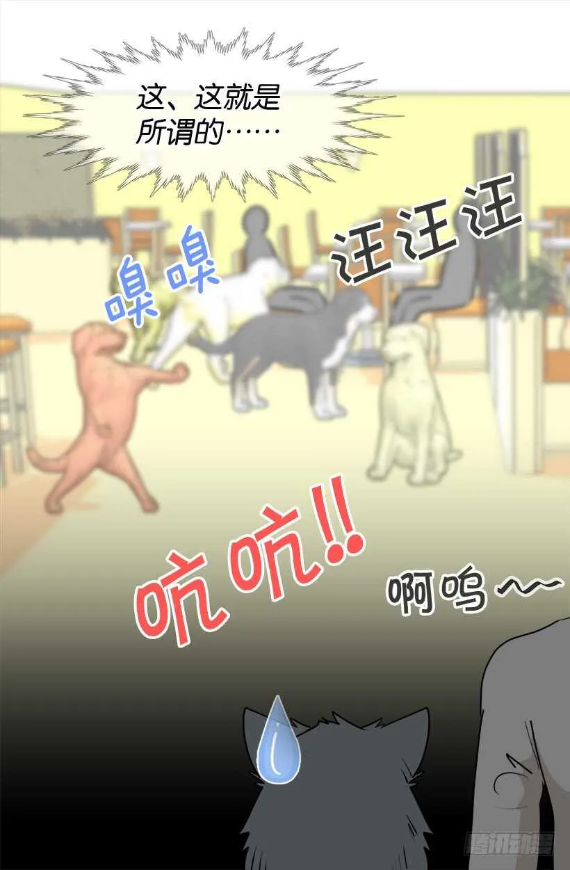 意外发现秘密 第4页