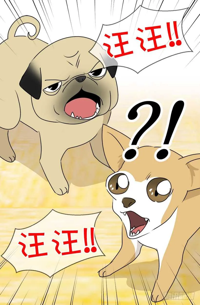 意外发现秘密 第8页