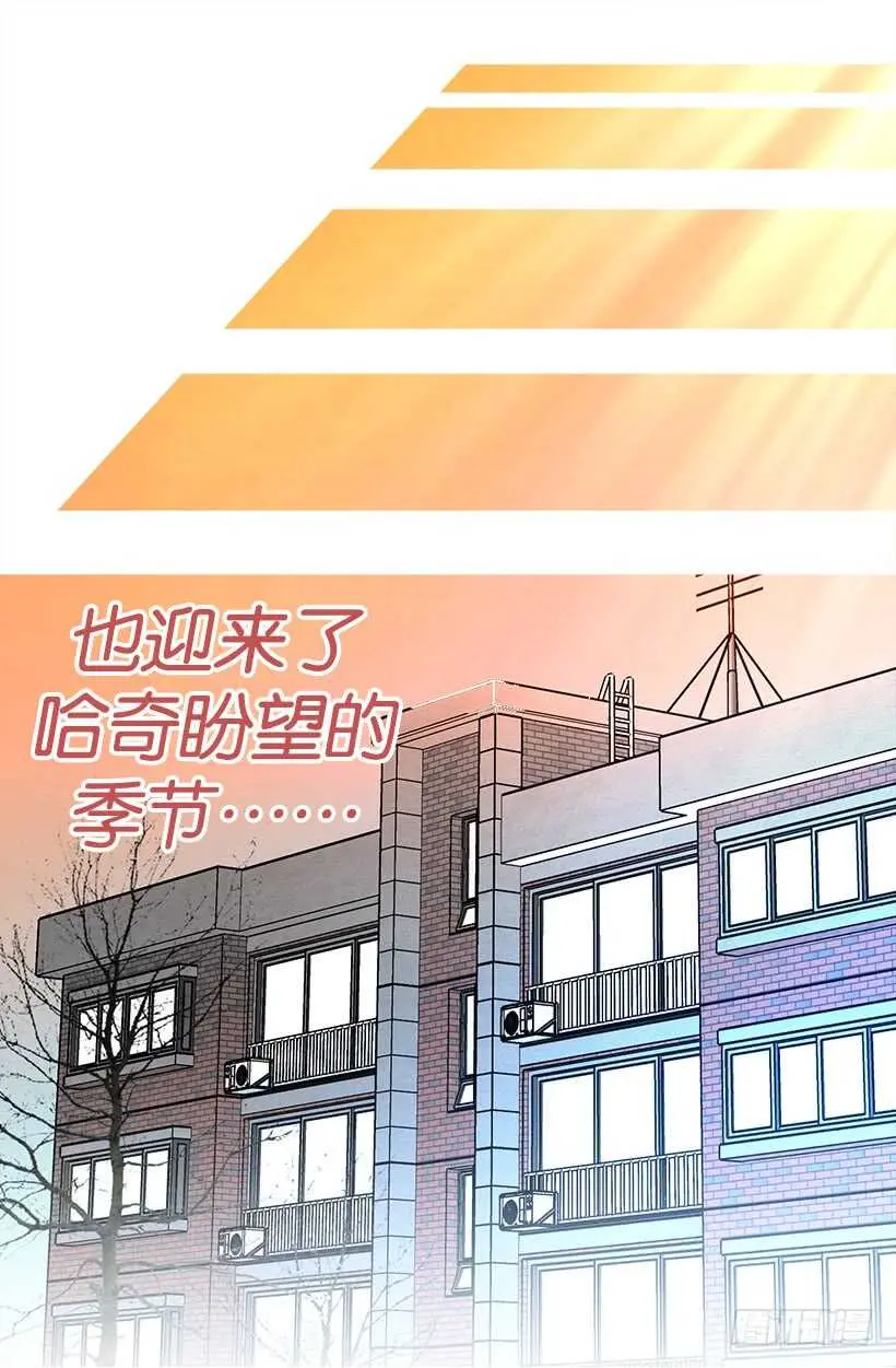忌日 第6页