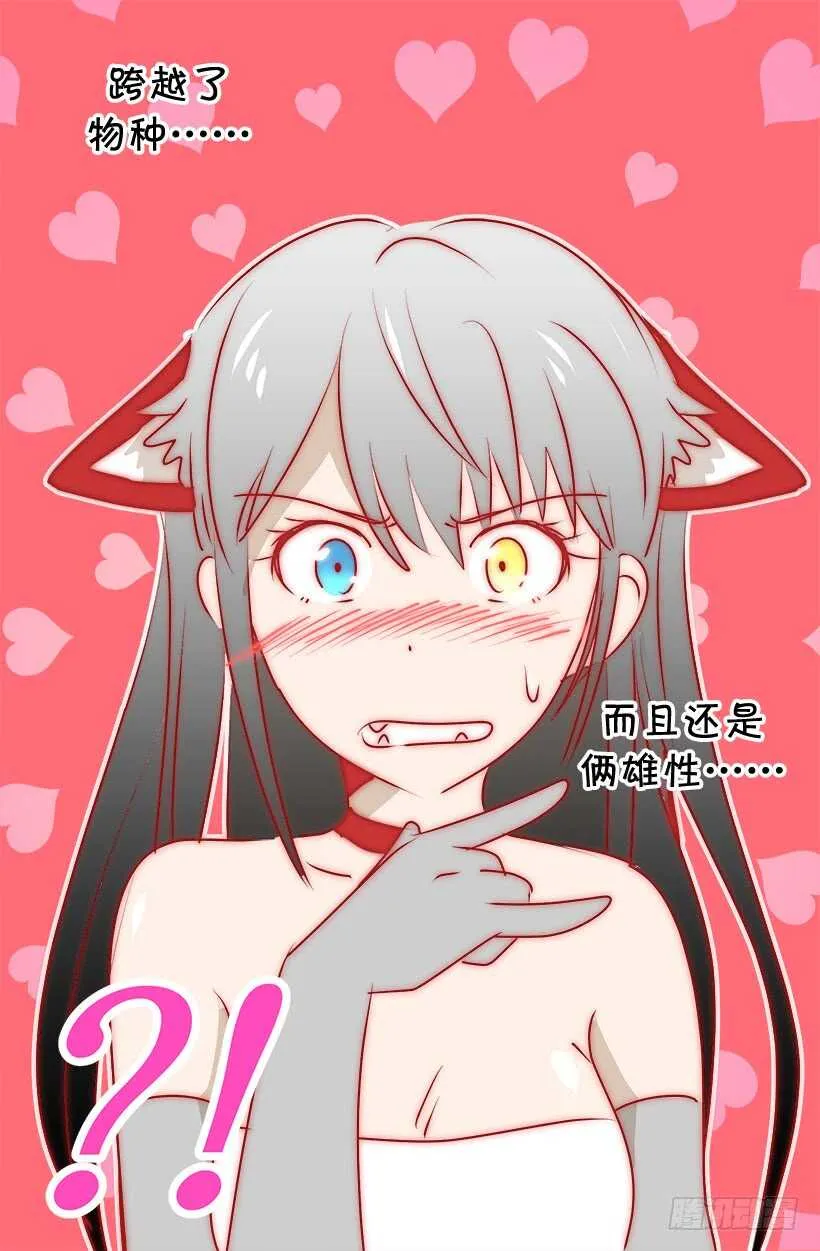 正式骑士 第13页
