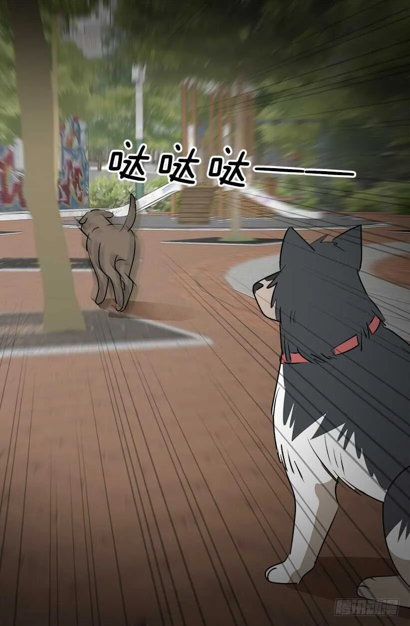 奇特的树 第17页