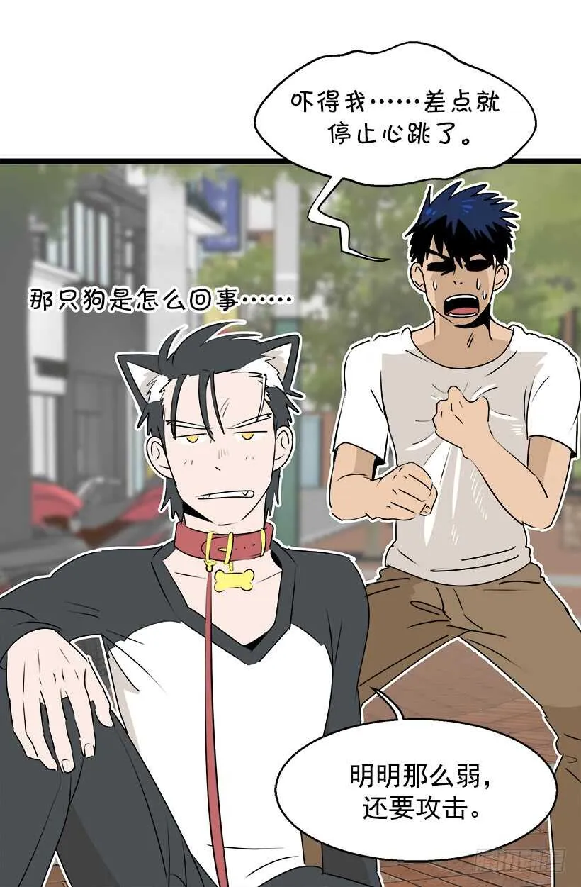 奇特的树 第18页