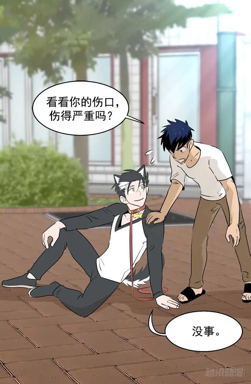 奇特的树 第19页