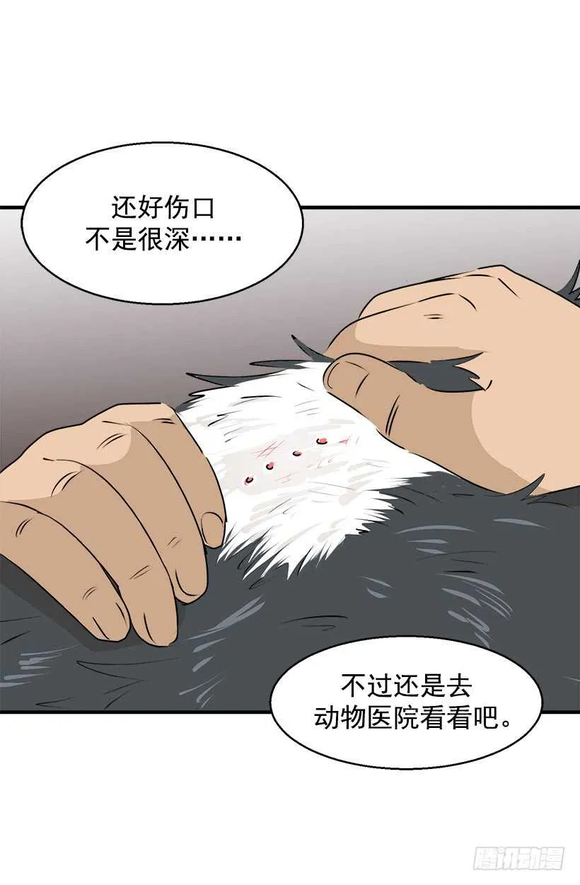 奇特的树 第20页