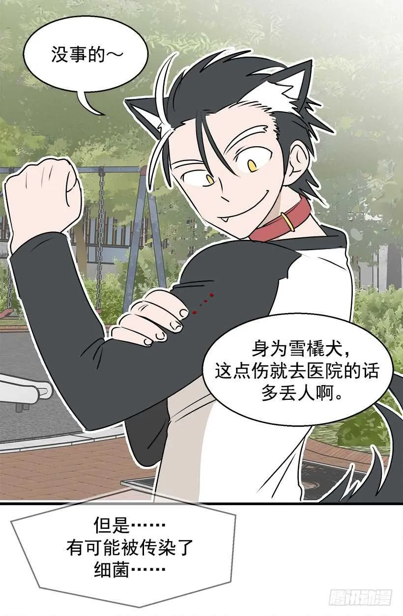 奇特的树 第21页