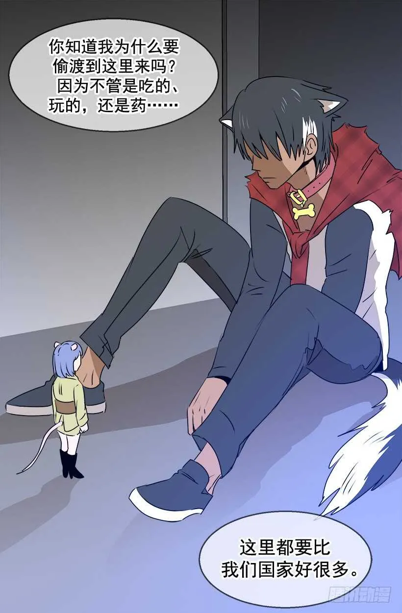 传闻 第13页