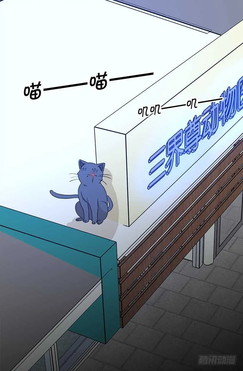 传闻 第21页
