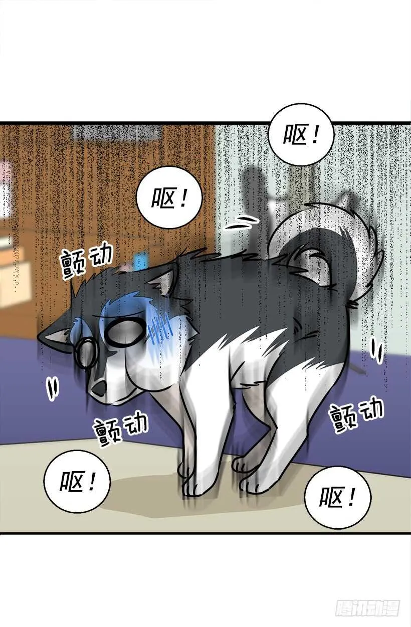 他变了 第5页