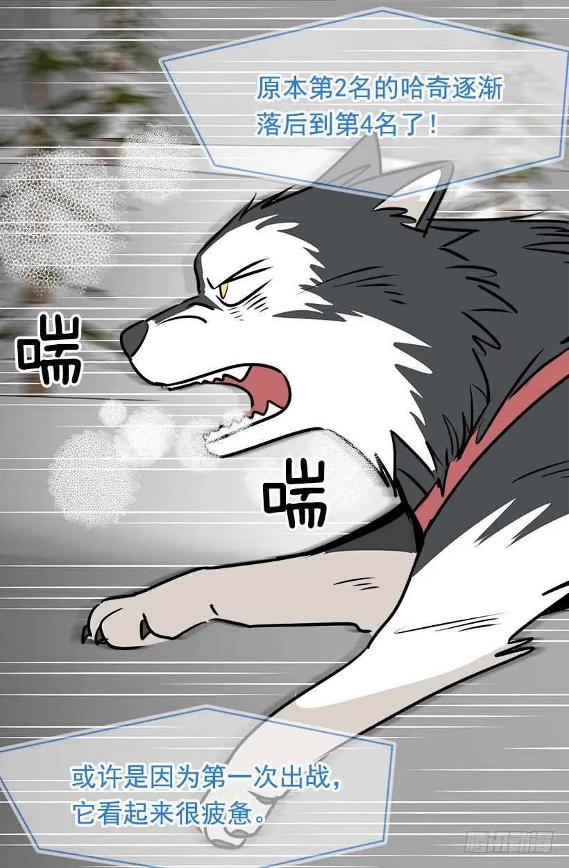 来得及 第32页