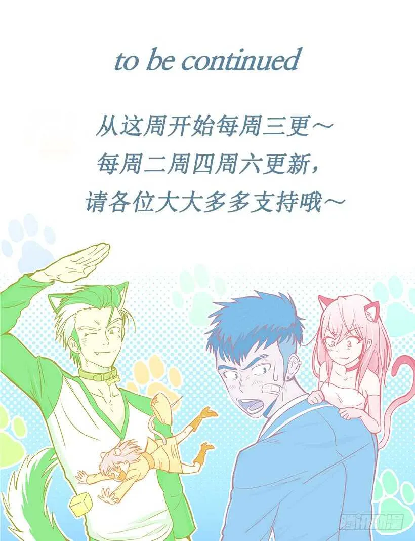 该开始了 第39页