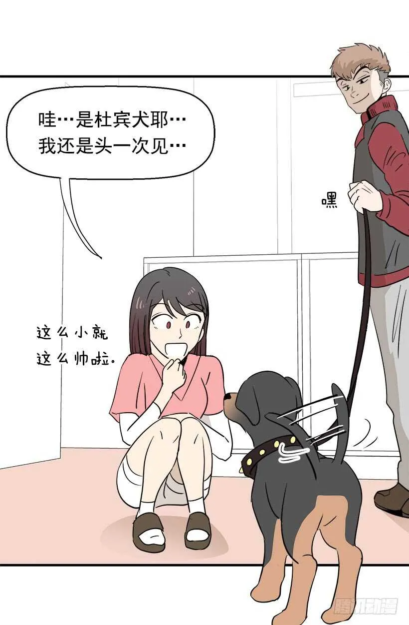 不懂艺术 第13页
