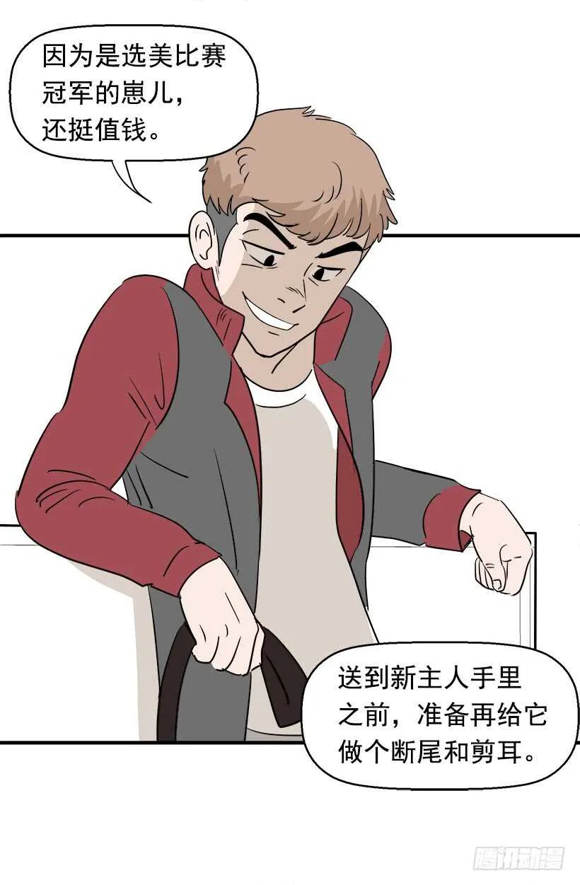 不懂艺术 第14页