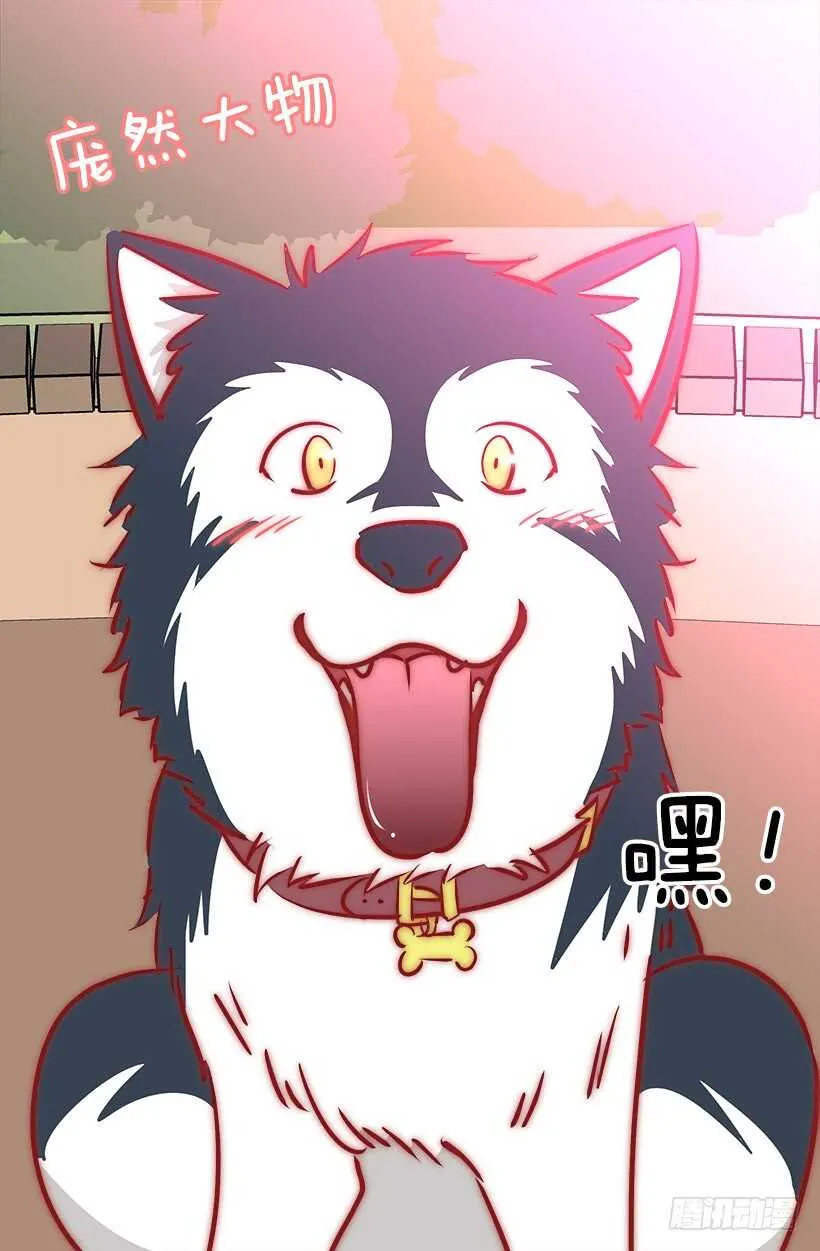 再试吧 第17页