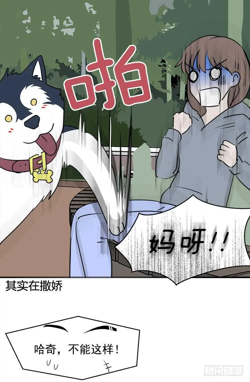 再试吧 第19页