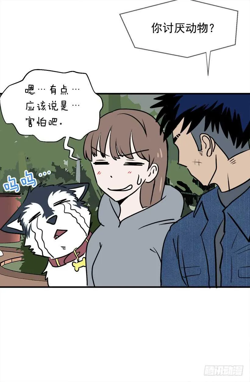 再试吧 第20页