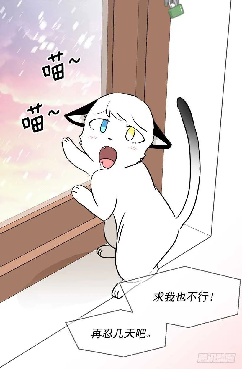 常识 第38页