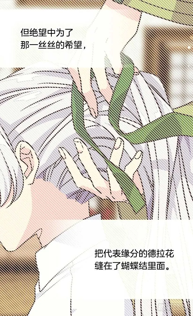 提亚的成长 第16页