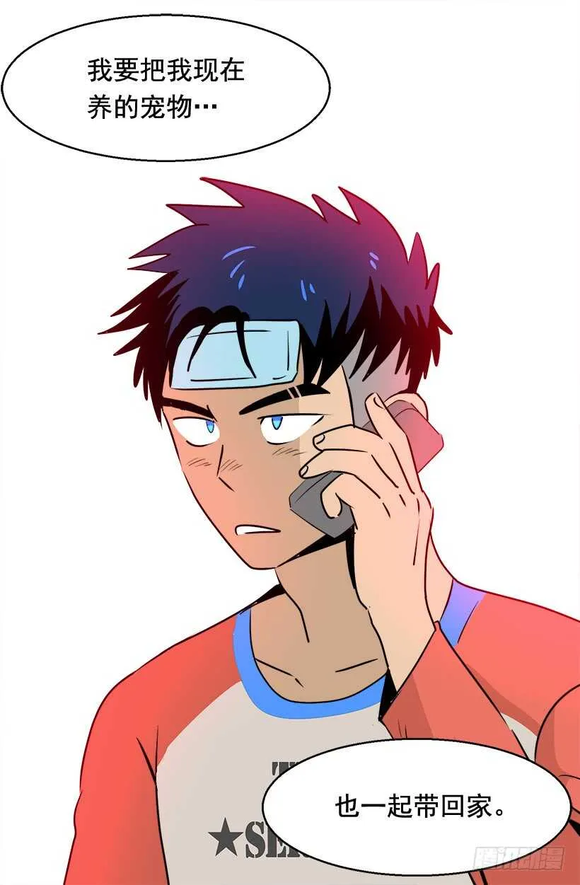 第二季完结篇 第11页
