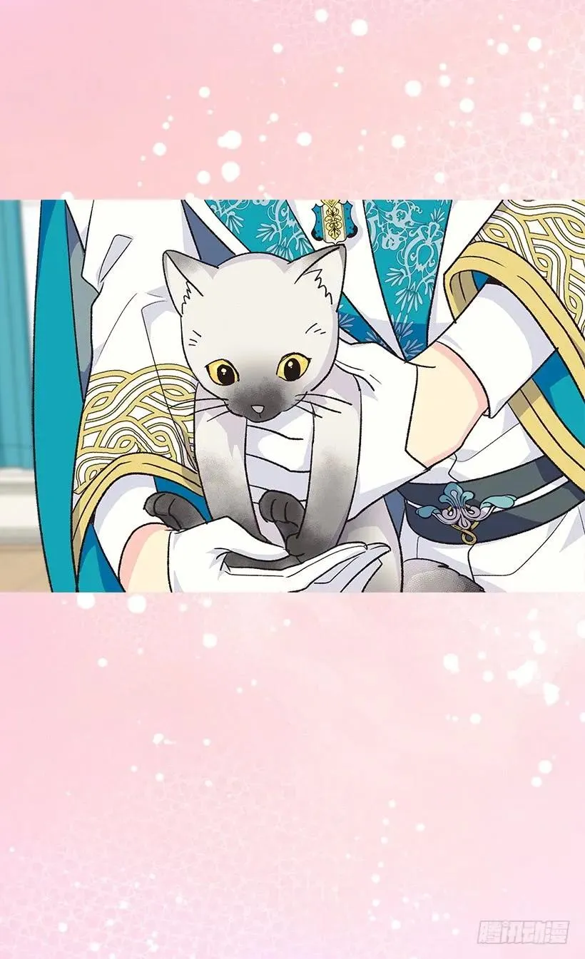 露娜 第43页