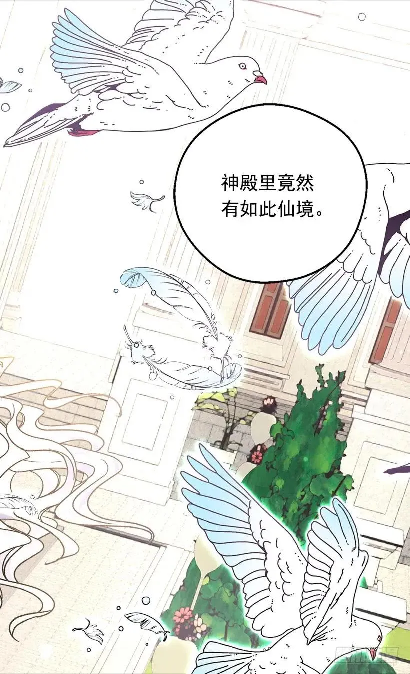 追逐命运之人 第14页