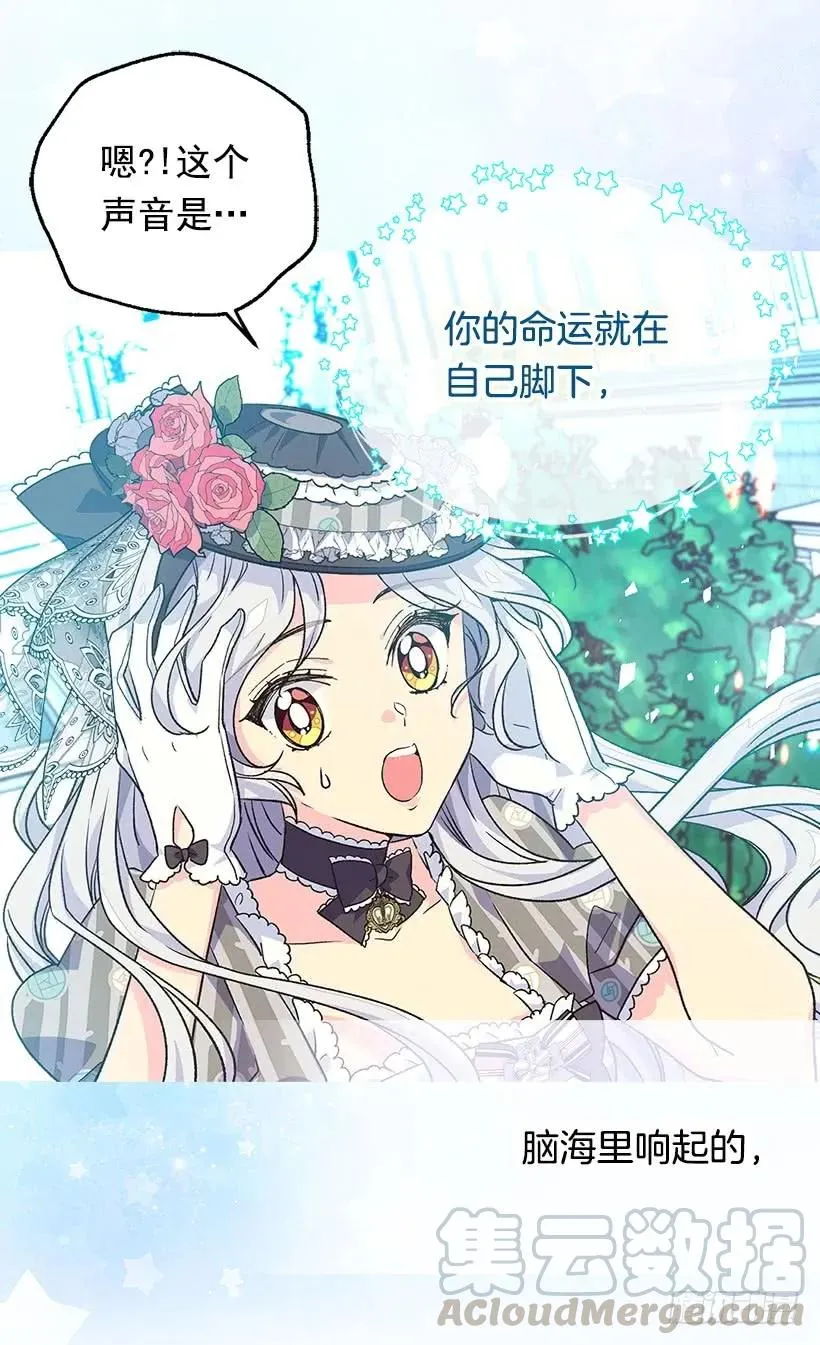 追逐命运之人 第17页