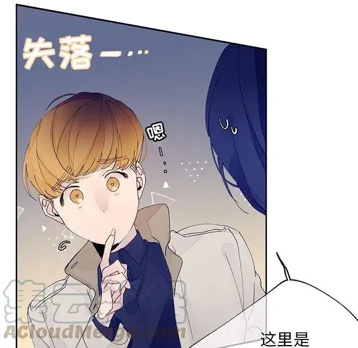 13 第43页
