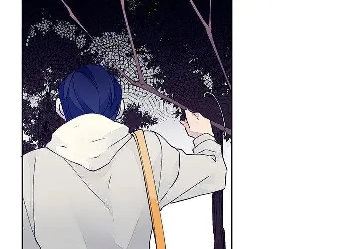 12 第4页