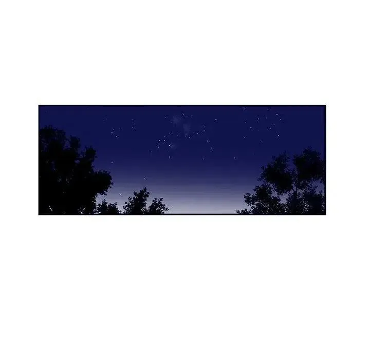 12 第11页