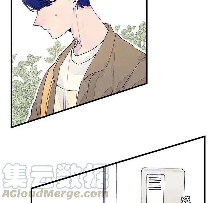 9 第10页
