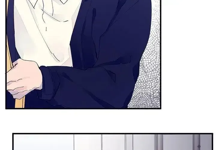 5 第4页