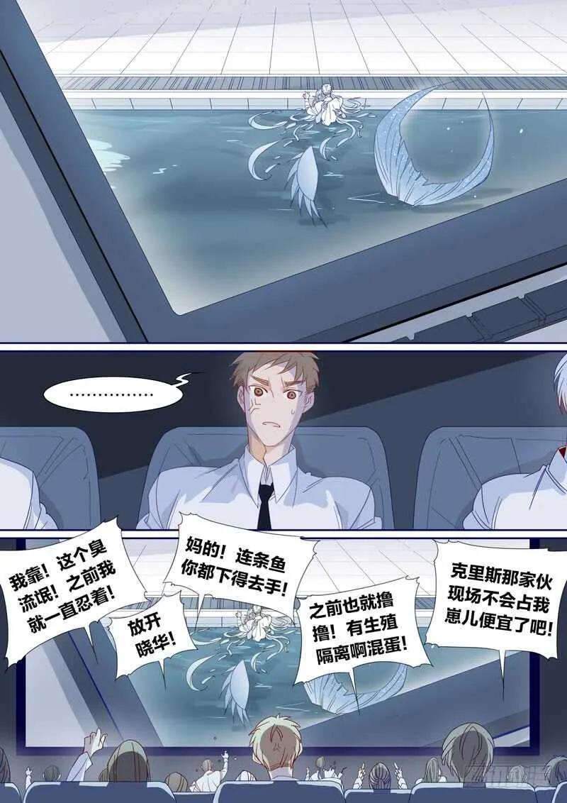 185 第8页