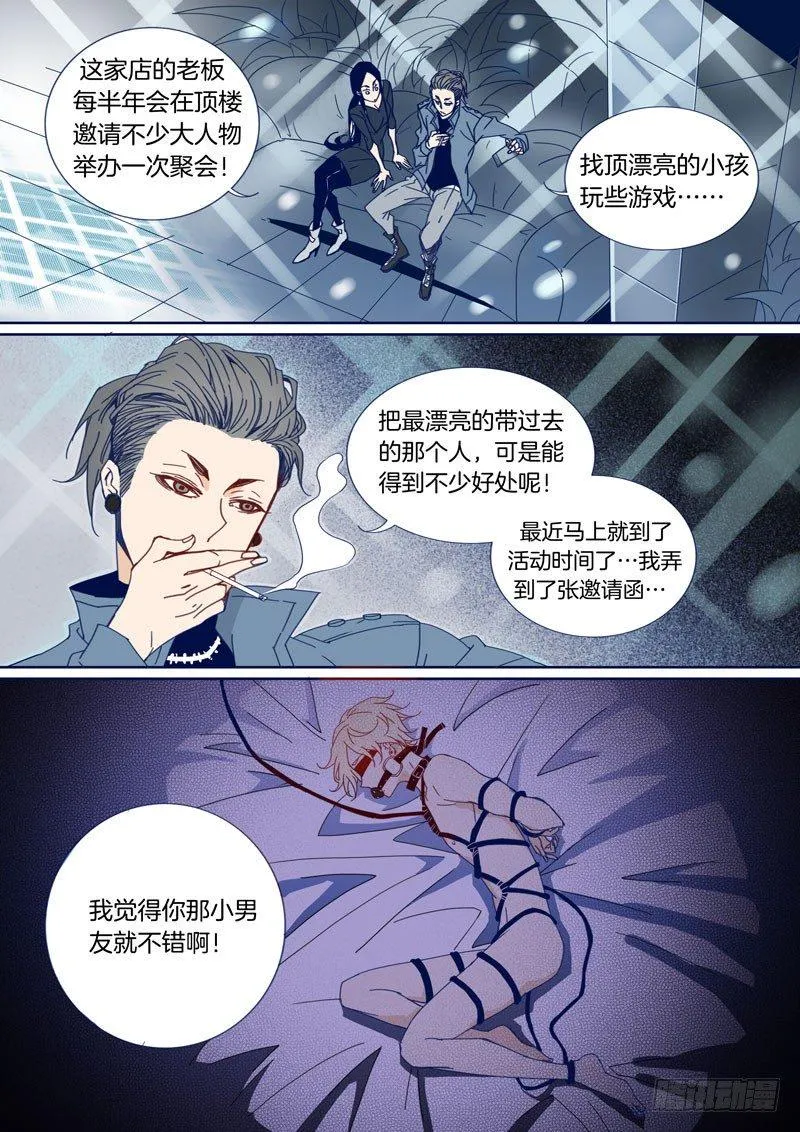 41 第8页