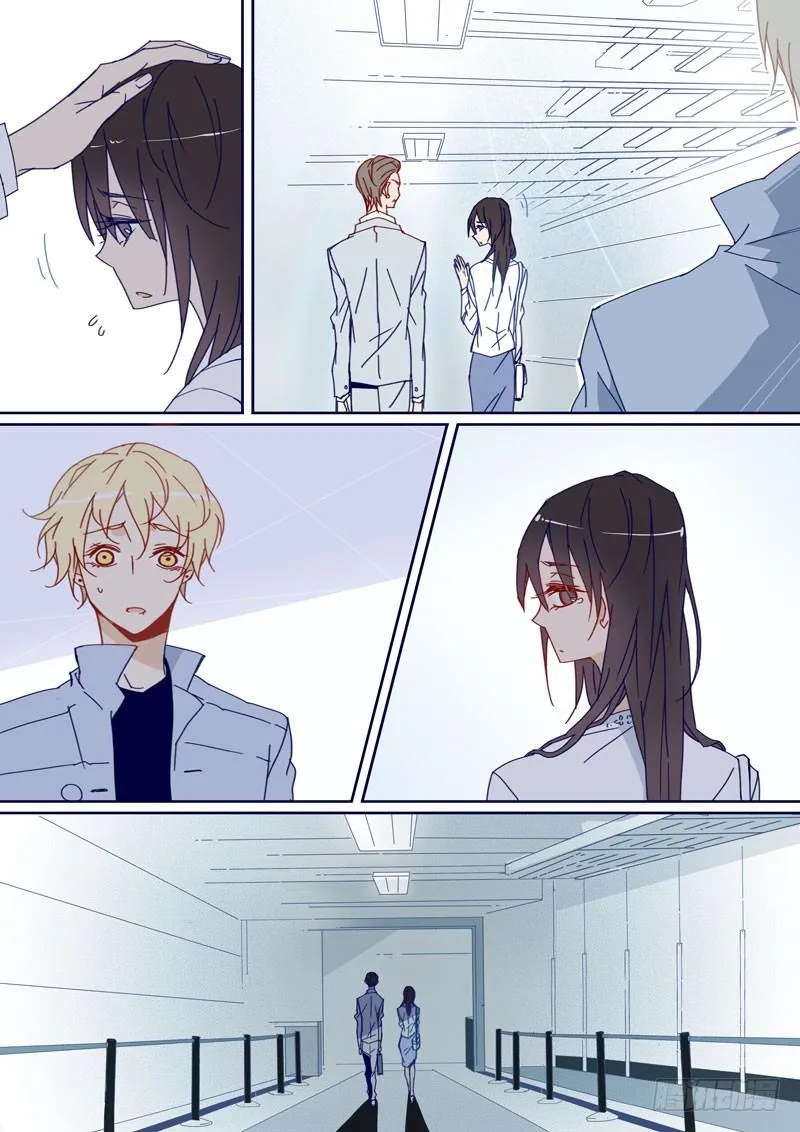 48 第6页