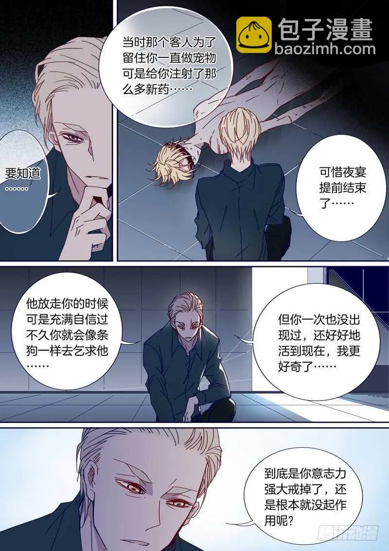 51 第3页
