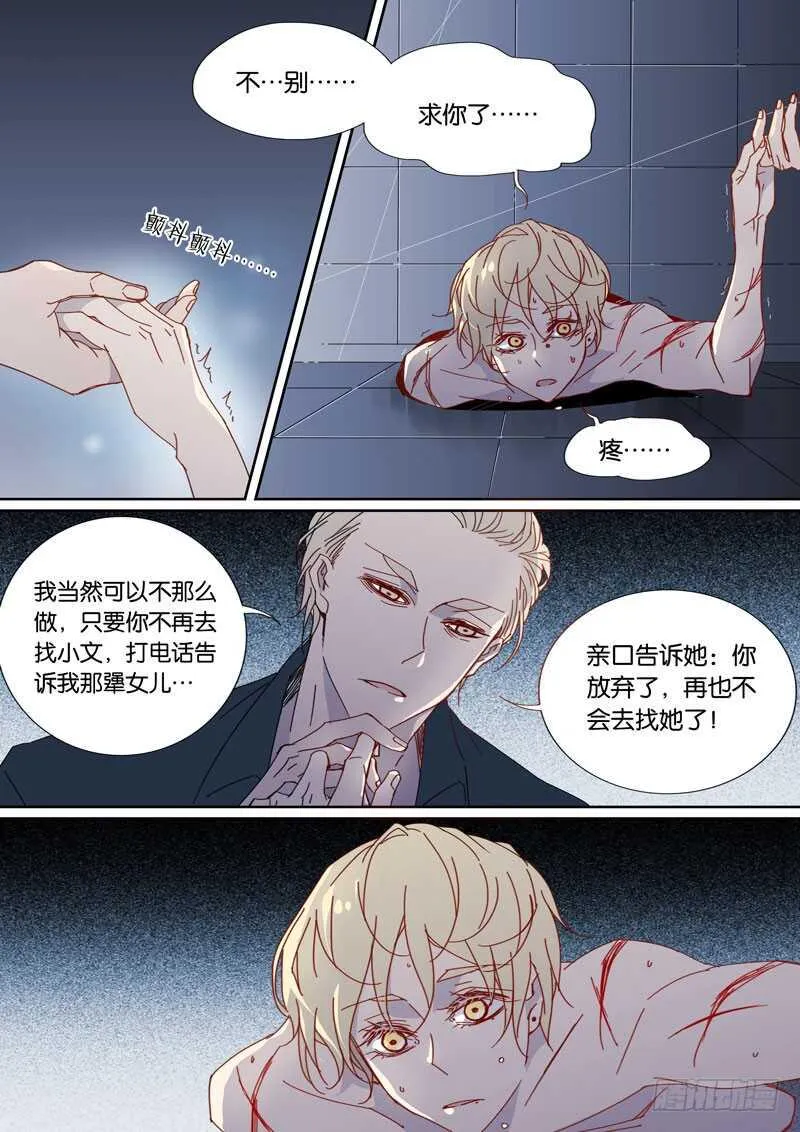 51 第5页