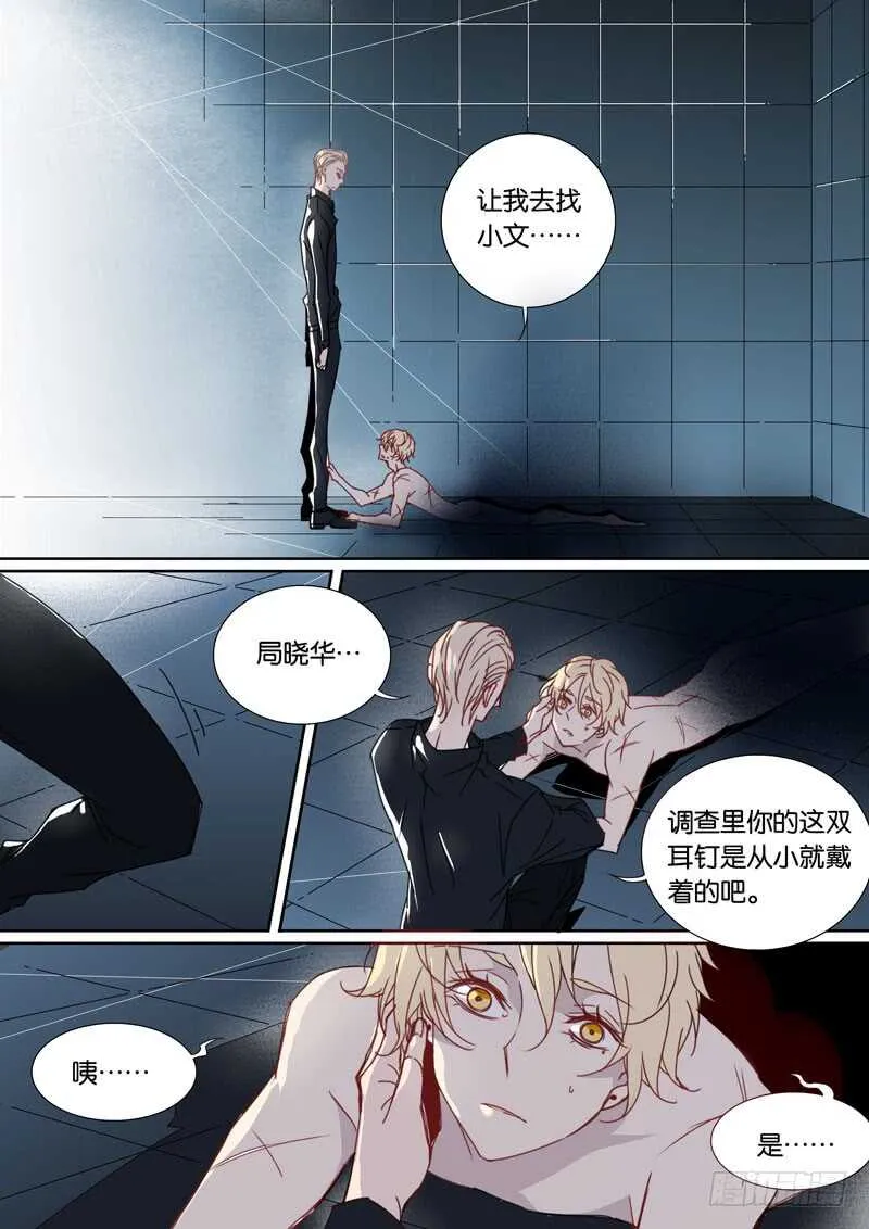 53 第8页