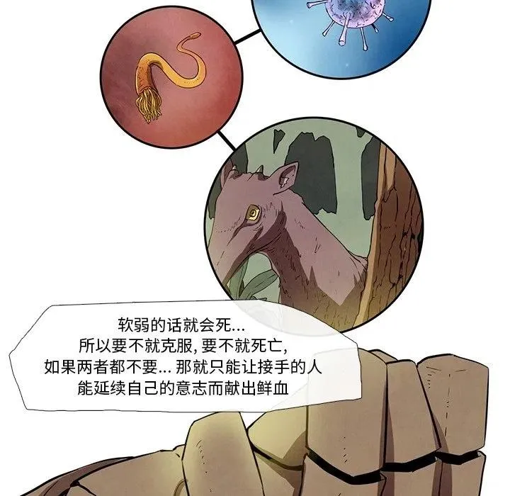 26 第23页