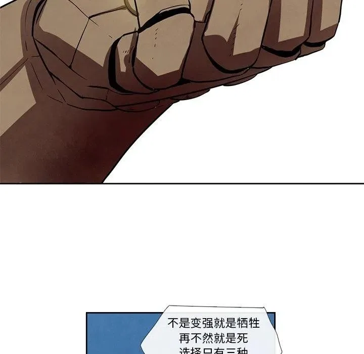 26 第24页