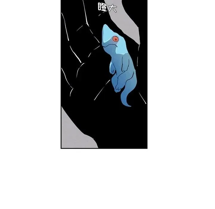 26 第78页