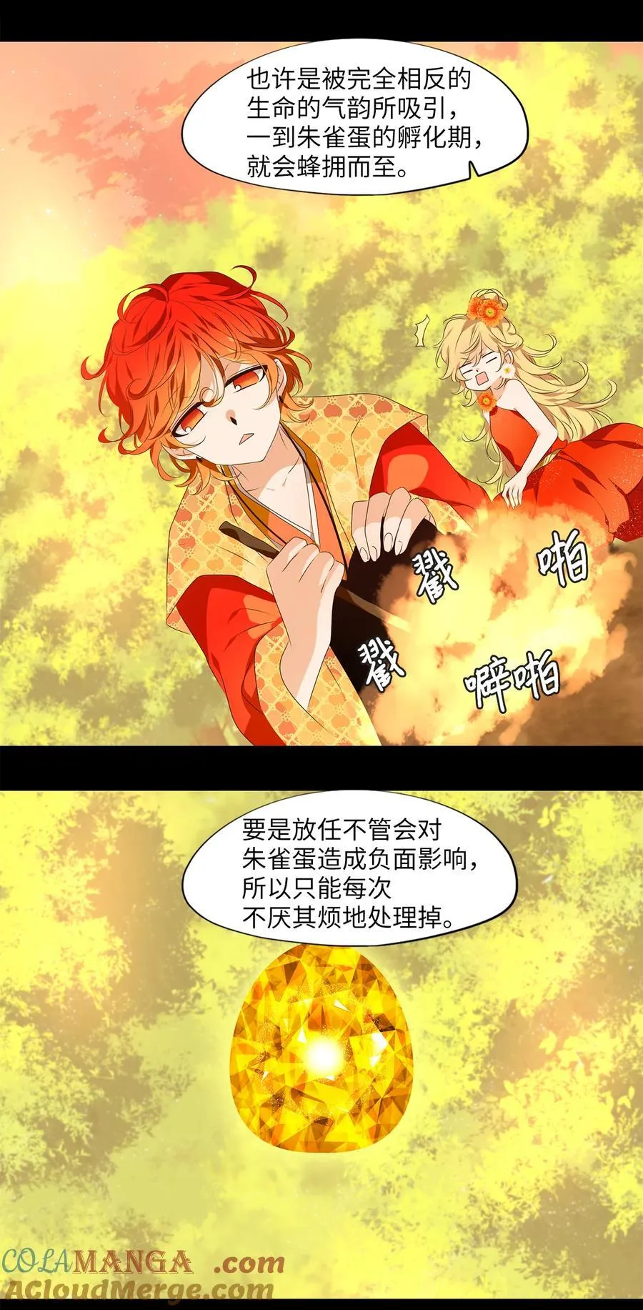 311 朱雀的摇篮（三） 第19页
