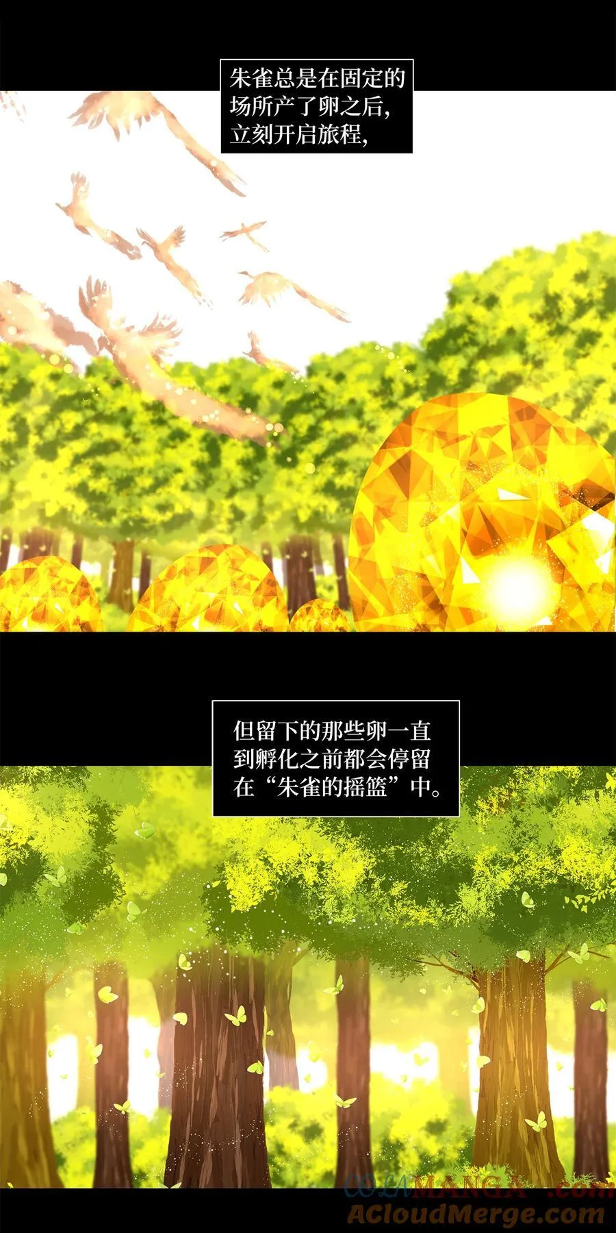 313 朱雀的摇篮（五） 第3页