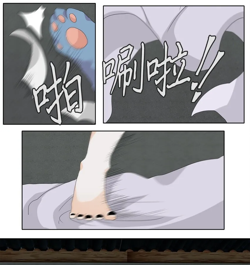 112 月见草（一） 第13页
