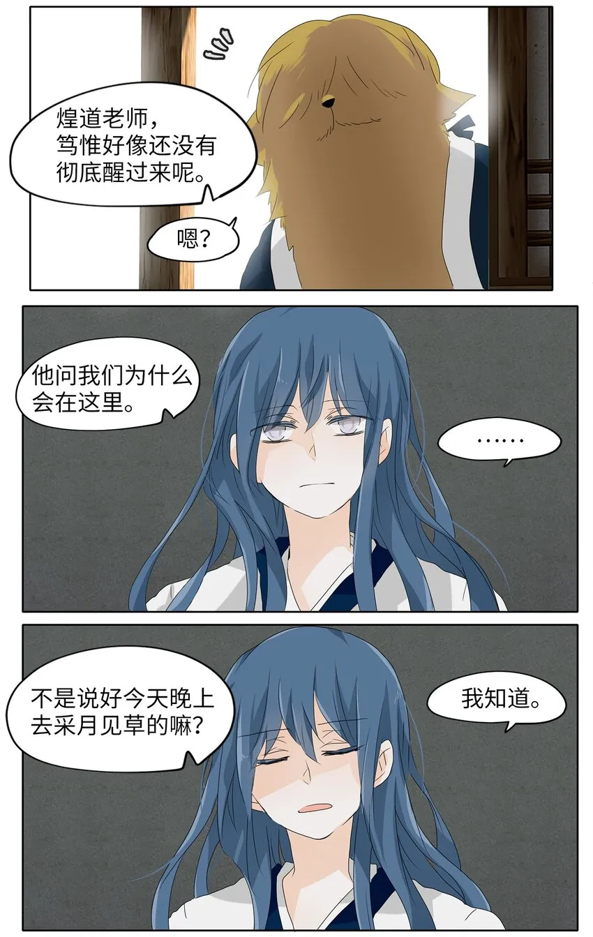 112 月见草（一） 第18页